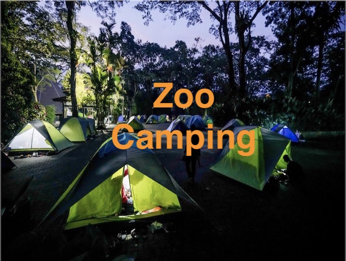 Camping in Zoo Negara