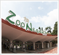 Zoo Entrance